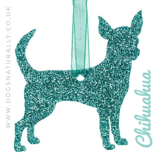 Chihuahua Glitter Decoration (Green/Teal)